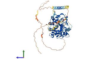 AlphaFold protein structure predicition of Human Recombinant CHST2 Protein, UniprotID Q9Y4C5