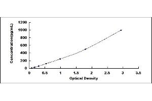 Typical standard curve (CCL20 Kit ELISA)