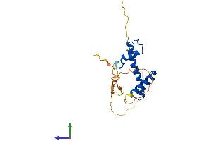 AlphaFold protein structure predicition of Mouse Recombinant Nfyb Protein, UniprotID P63139