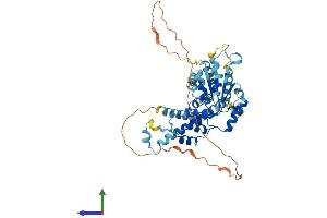 AlphaFold protein structure predicition of Human Recombinant KATNA1 Protein, UniprotID O75449