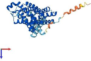 AlphaFold protein structure predicition of Human Recombinant SLC35A1 Protein, UniprotID P78382