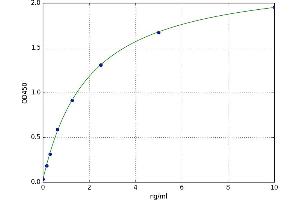 A typical standard curve (ABCB1 Kit ELISA)