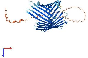 AlphaFold protein structure predicition of Human Recombinant TOMM40 Protein, UniprotID O96008