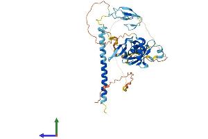 AlphaFold protein structure predicition of Mouse Recombinant Rassf5 Protein, UniprotID Q5EBH1