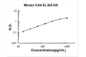 Carbonic Anhydrase IV (CA4) ELISA Kit
