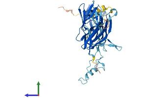 AlphaFold protein structure predicition of Human Recombinant TRAPPC13 Protein, UniprotID A5PLN9