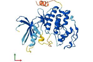 AlphaFold protein structure predicition of Human Recombinant CDK3 Protein, UniprotID Q00526