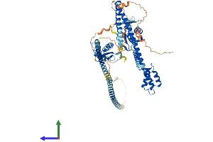 AlphaFold protein structure predicition of Mouse Recombinant Enox1 Protein, UniprotID Q8BHR2
