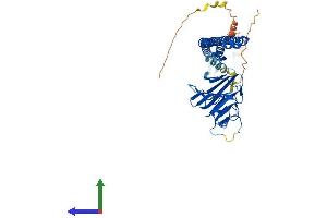 AlphaFold protein structure predicition of Mouse Recombinant Bspry Protein, UniprotID Q80YW5