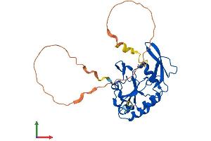 AlphaFold protein structure predicition of Mouse Recombinant Ctdspl Protein, UniprotID P58465