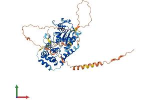 AlphaFold protein structure predicition of Human Recombinant AMZ1 Protein, UniprotID Q400G9