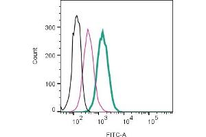 Cell surface detection of BDKRB1 by direct flow cytometry in live intact mouse  microglia cell line: + Rabbit IgG isotype control-FITC (ABIN7582044). (BDKRB1 anticorps  (Extracellular) (FITC))