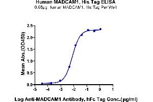 Immobilized Human MADCAM1, His Tag at 0. (MADCAM1 Protein (AA 19-317) (His tag))