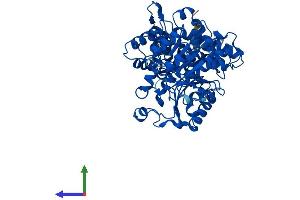 AlphaFold protein structure predicition of Mouse Recombinant Me1 Protein, UniprotID P06801