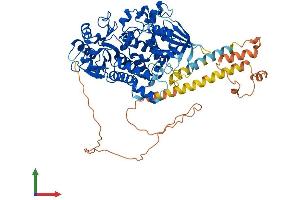 AlphaFold protein structure predicition of Human Recombinant MTMR8 Protein, UniprotID Q96EF0