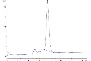 The purity of Biotinylated Human MICB is greater than 95 % as determined by SEC-HPLC.