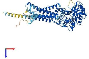 AlphaFold protein structure predicition of Human Recombinant GDPD2 Protein, UniprotID Q9HCC8