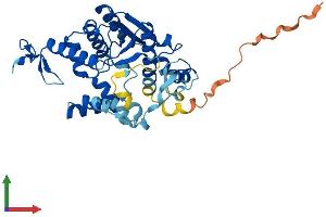 AlphaFold protein structure predicition of Human Recombinant CTU1 Protein, UniprotID Q7Z7A3