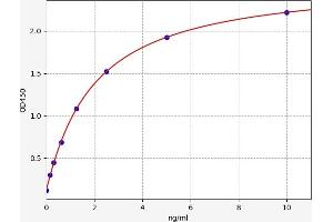 Typical standard curve (NADPH Oxidase 4 Kit ELISA)