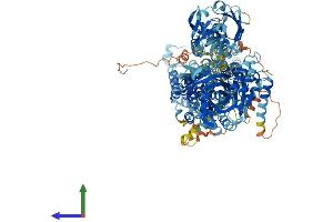 AlphaFold protein structure predicition of Human Recombinant ATP8B2 Protein, UniprotID P98198