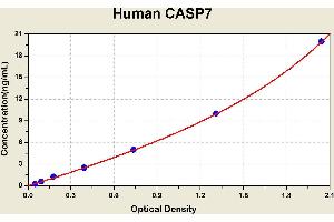 Diagramm of the ELISA kit to detect Human CASP7with the optical density on the x-axis and the concentration on the y-axis.