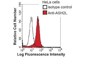 HeLa cells were fixed in 2% paraformaldehyde/PBS and then permeabilized in 90% methanol. (ASH2L anticorps)