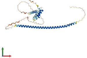 AlphaFold protein structure predicition of Human Recombinant NAIF1 Protein, UniprotID Q69YI7