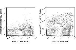 C57Bl/6 splenocytes were stained with APC MHC CLass II and 0. (CD11c anticorps  (Biotin))