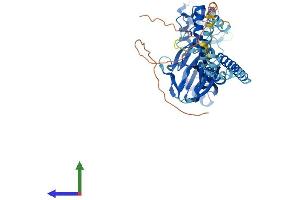 AlphaFold protein structure predicition of Human Recombinant ASIC1 Protein, UniprotID P78348