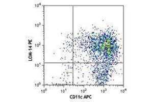 Flow Cytometry (FACS) image for anti-C-Type Lectin Domain Family 10, Member A (CLEC10A) antibody (PE) (ABIN2662589)