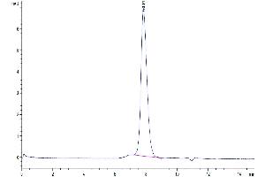 The purity of Cynomolgus PD-L1 is greater than 95 % as determined by SEC-HPLC.