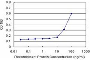 Sandwich ELISA detection sensitivity ranging from 10 ng/mL to 100 ng/mL. (NQO2 (Humain) Matched Antibody Pair)