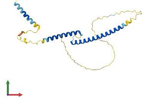 AlphaFold protein structure predicition of Human Recombinant MXD1 Protein, UniprotID Q05195
