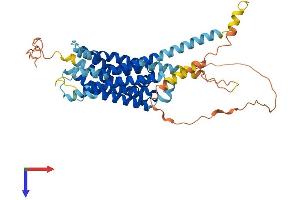 AlphaFold protein structure predicition of Human Recombinant DRD2 Protein, UniprotID P14416