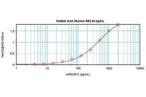 Image no. 4 for anti-RELM alpha antibody (ABIN465191) (RELM alpha anticorps)