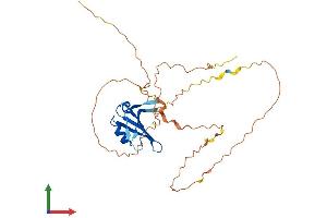 AlphaFold protein structure predicition of Mouse Recombinant Dazl Protein, UniprotID Q64368