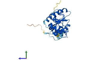 AlphaFold protein structure predicition of Mouse Recombinant Faap24 Protein, UniprotID Q8BHL6
