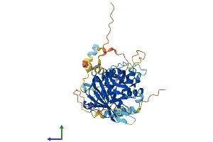 AlphaFold protein structure predicition of Mouse Recombinant Usp27x Protein, UniprotID Q8CEG8