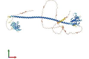 AlphaFold protein structure predicition of Human Recombinant UVRAG Protein, UniprotID Q9P2Y5