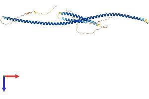 AlphaFold protein structure predicition of Mouse Recombinant Cep57l1 Protein, UniprotID Q8VDS7