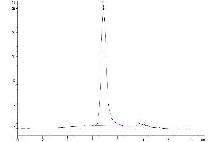 The purity of Biotinyllated Mouse IL-17A&F is greater than 95 % as determined by SEC-HPLC.
