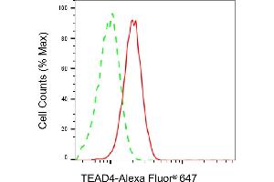 Flow cytometric analysis of TEAD4 expression in HepG2 cells using TEAD4 antibody (ABIN7800526), 1:2,000). (Recombinant TEAD4 anticorps)