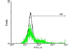 FACS analysis of negative control 293 cells (Black) and S1PR3 expressing 293 cells (Green) using S1PR3 purified MaxPab mouse polyclonal antibody. (S1PR3 anticorps  (AA 1-378))