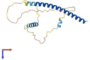 AlphaFold protein structure predicition of Mouse Recombinant Ddit3 Protein, UniprotID P35639