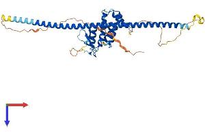 AlphaFold protein structure predicition of Human Recombinant RAB3IL1 Protein, UniprotID Q8TBN0