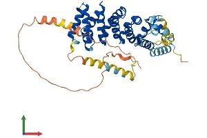 AlphaFold protein structure predicition of Mouse Recombinant Armcx3 Protein, UniprotID Q8BHS6