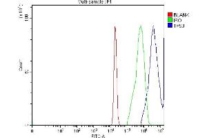 Flow Cytometry analysis of A431 cells using anti-TP53 antibody (ABIN7599050).