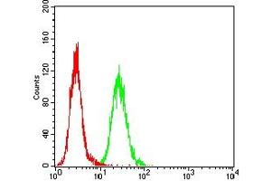 Flow cytometric analysis of Hela cells using SP10 mouse mAb (green) and negative control (red).