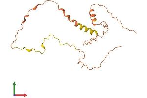 AlphaFold protein structure predicition of Human Recombinant LINC01356 Protein, UniprotID Q8N9X3 (LINC01356 (AA 1-169) protein (His tag))