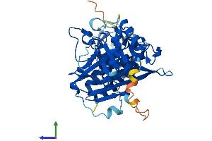 AlphaFold protein structure predicition of Mouse Recombinant Inpp1 Protein, UniprotID P49442